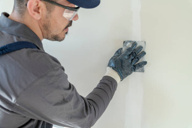 Best Mold Damage Restoration  in Prince Frederick, MD