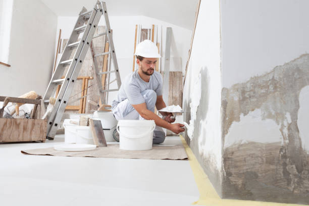 Best Attic Mold Removal  in Prince Frederick, MD
