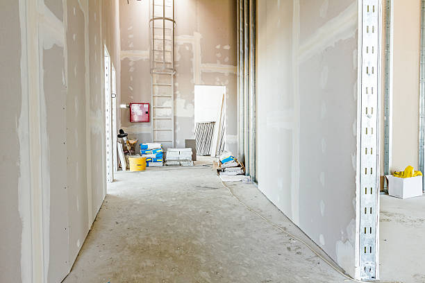 Best Industrial Mold Remediation  in Prince Frederick, MD