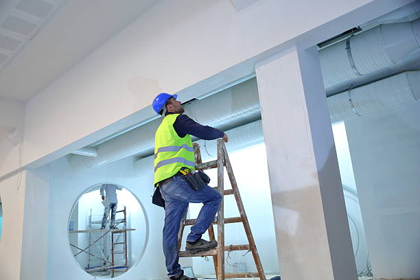 Biohazard Mold Removal in Prince Frederick, MD
