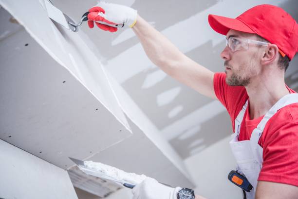 Environmental Consulting for Mold Prevention in Prince Frederick, MD